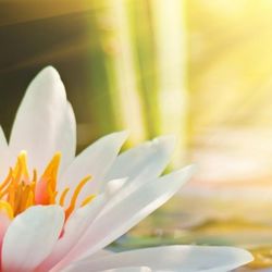 Cindy Muni Psychic Medium