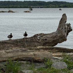 Oronoco Bay Park