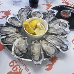 Oysters Oysters