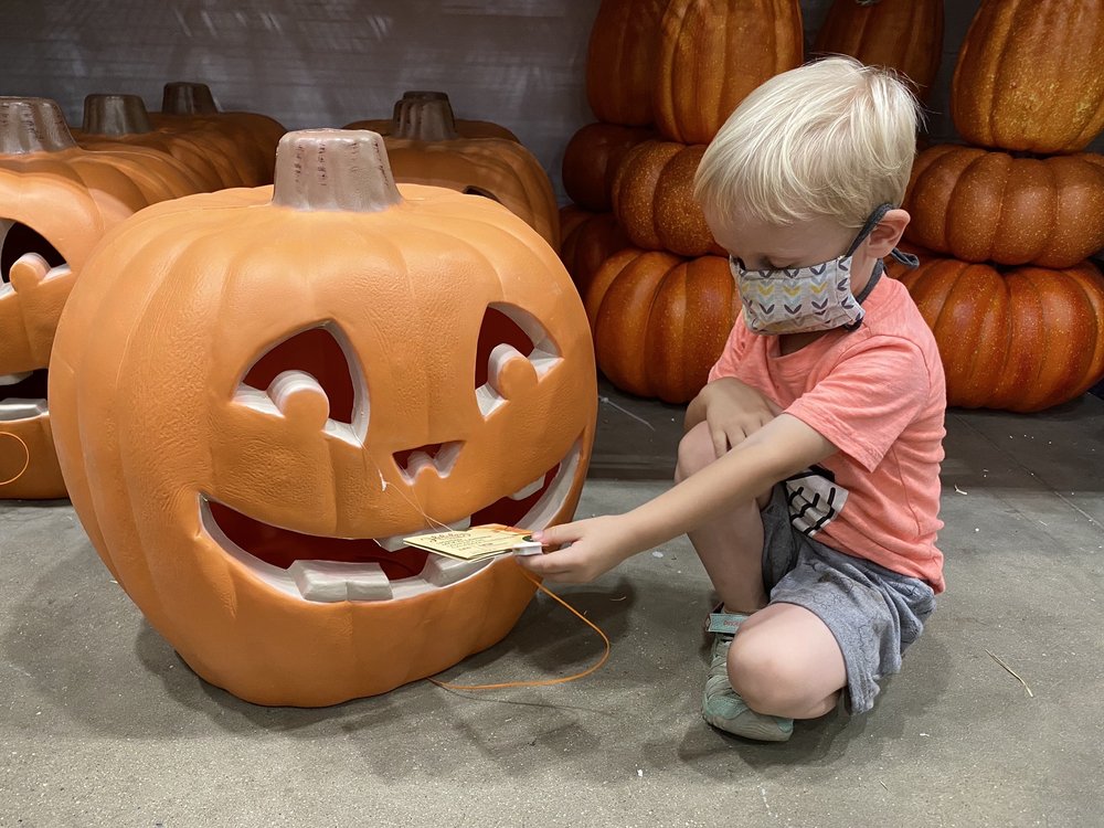 LOWE’S HOME IMPROVEMENT Updated August 2024 43 Reviews 14725