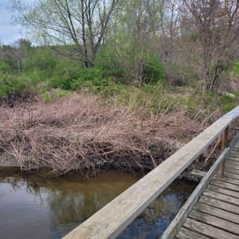 Little Pond Boardwalk Trail - Hiking Near Me Little Pond Boardwalk Trail - Hiking Near Me