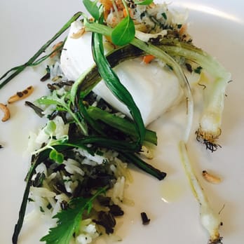 Canoe - Halibut - Canadian (New) Near Me - Toronto, Ontario