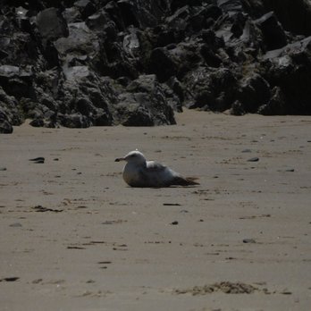 Hug Point State Recreation Site - 7/21/2018 - Parks Near Me - Arch Cape, Oregon Hug Point State Recreation Site - 7/21/2018 - Parks Near Me - Arch Cape, Oregon
