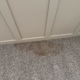 stain in which Michelle got out no problem
