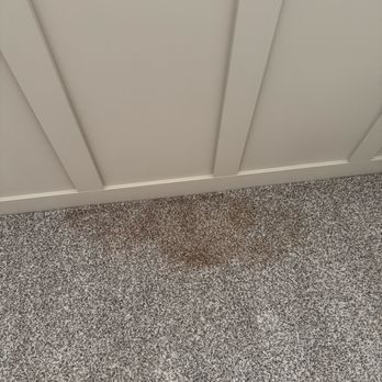 HydroCare Services - stain in which Michelle got out no problem - Home Cleaning Near Me - Phoenix, Arizona