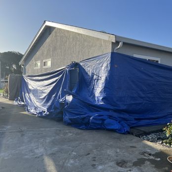 JMV Tree Service - Property protection - Tree Services Near Me - Hayward, California JMV Tree Service - Property protection - Tree Services Near Me - Hayward, California