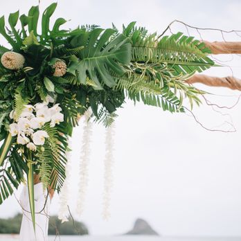 Plant Hawaii - PC: Pinky Photography - Nurseries & Gardening Near Me - Waimanalo, Hawaii Plant Hawaii - PC: Pinky Photography - Nurseries & Gardening Near Me - Waimanalo, Hawaii