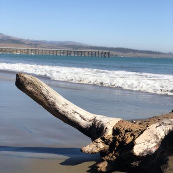 San Simeon State Beach - Swimming Pools Near Me