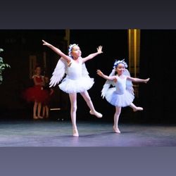 Camp Verde Dance & Fitness - Blue Birds in our spring show