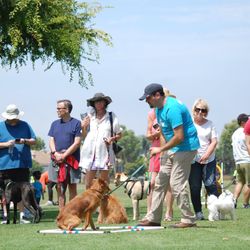 Blue Leash Dog Training
