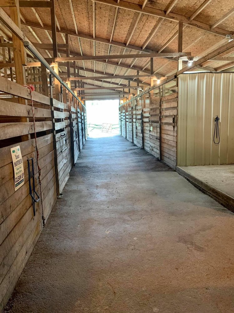 C Horse Stables - equestrian in Jeannette, PA