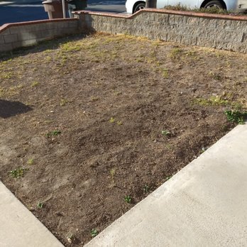 Damian Landscaping - Driveway Before (the other direction) - Masonry/Concrete Near Me Damian Landscaping - Driveway Before (the other direction) - Masonry/Concrete Near Me