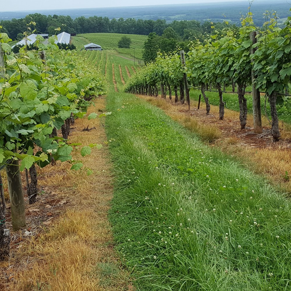 Honah Lee Vineyard - Vineyard - Venues & Event Spaces Near Me - Gordonsville, Virginia Honah Lee Vineyard - Vineyard - Venues & Event Spaces Near Me - Gordonsville, Virginia
