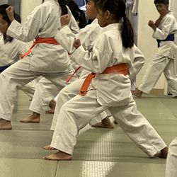 Funakoshi Shotokan Karate Association - Training