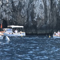 Capri Whales di Wendy