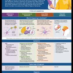 The Dementia Whisperer - Understanding Different Types of Dementia