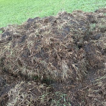 Rodriguez Sod - Gardeners Near Me - Tampa, Florida Rodriguez Sod - Gardeners Near Me - Tampa, Florida