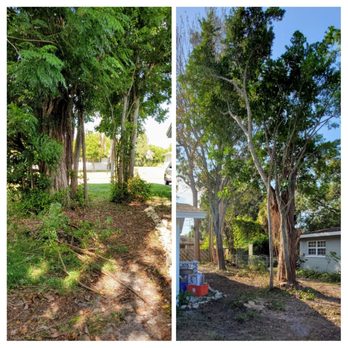 A Branch Above The Rest Tree Service - Before/After - Tree Services Near Me A Branch Above The Rest Tree Service - Before/After - Tree Services Near Me