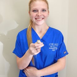 Grogan's Mill Pet Clinic