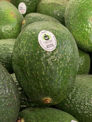 Del Rey Avocado Co by null