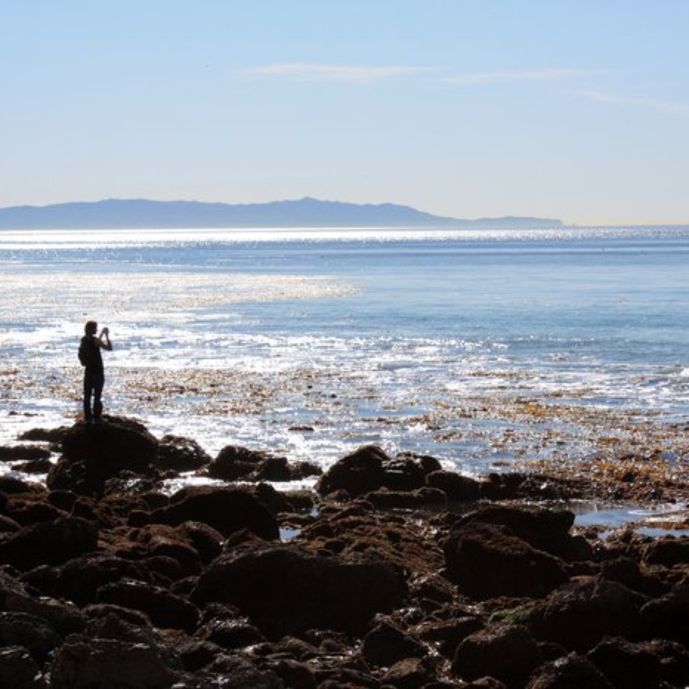 Founder's Park - Parks Near Me - Rancho Palos Verdes, California
