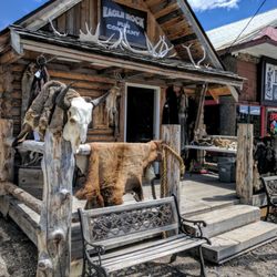 Eagle Rock Fur - Artbyjo entrance