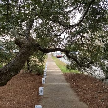 The Big Oak - If you look closely to your left, you will see a support cable installed to add strength.  I love the added lights along the sidewalk. - Landmarks & Historical Buildings Near Me - Thomasville, Georgia