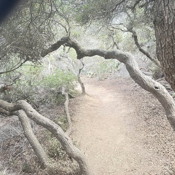Torrey Pines State Reserve - The Cool Trail Ahead of us - Parks Near Me - La Jolla, California Torrey Pines State Reserve - The Cool Trail Ahead of us - Parks Near Me - La Jolla, California