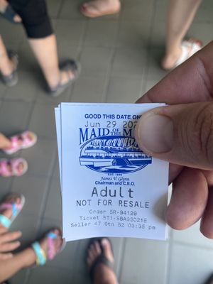 Maid of the Mist by null