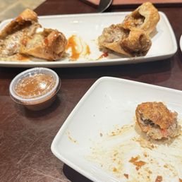 Philly Cheesesteak Eggrolls (no cilantro) with extra sauce to take home. I'm happy!!