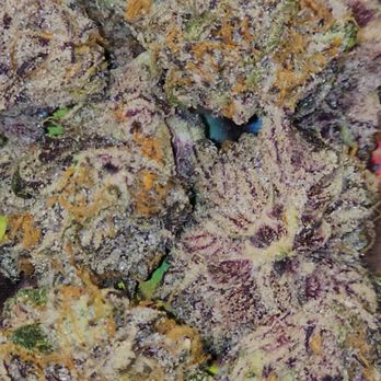Green Muse - Champagne - Cannabis Dispensaries Near Me - Portland, Oregon Green Muse - Champagne - Cannabis Dispensaries Near Me - Portland, Oregon