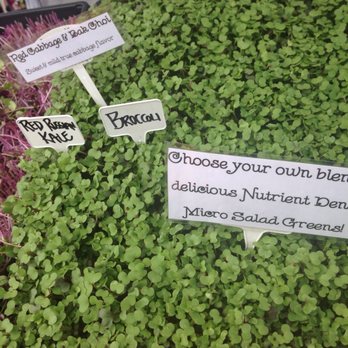 Everett Farmers Market - Sprouts, aka microgreens - Farmers Market Near Me - Everett, Washington