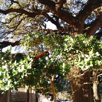 Luckenbach Texas - Music Venues Near Me - Fredericksburg, Texas Luckenbach Texas - Music Venues Near Me - Fredericksburg, Texas