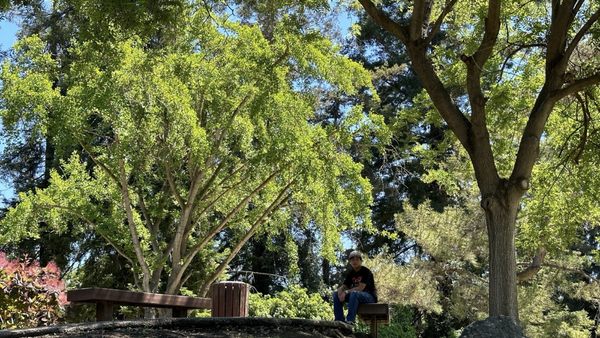 Japanese Friendship Garden by null