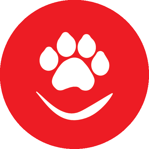 HAPPY FEET ADVENTURES Updated September 2024 17 Photos Weymouth