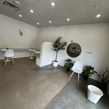 Littl Madeleine - Coffee & Tea Near Me - Charlotte, North Carolina Littl Madeleine - Coffee & Tea Near Me - Charlotte, North Carolina