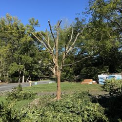 C & R Tree Service