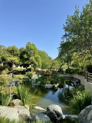 Japanese Garden by null