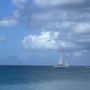 Photo of Pinnacle Trips
