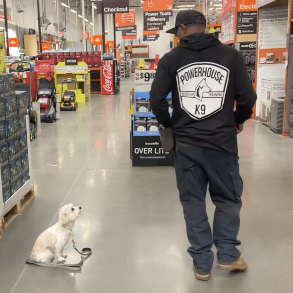 THE BEST 10 PET TRAINING in SOLANO COUNTY, CA - Updated 2026 - Hours - Yelp