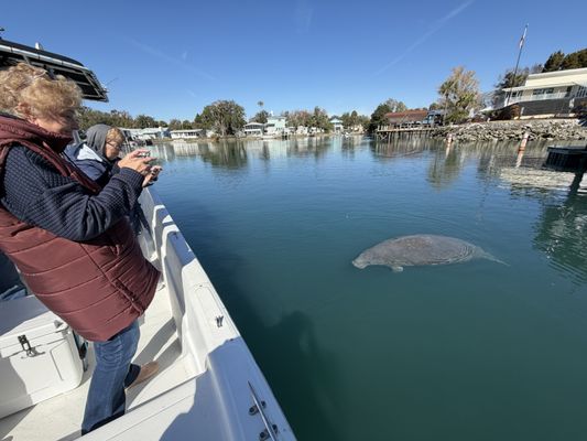 BIG 3 CHARTERS - Updated March 2026 - Request a Quote - 52 Photos - 1 ...