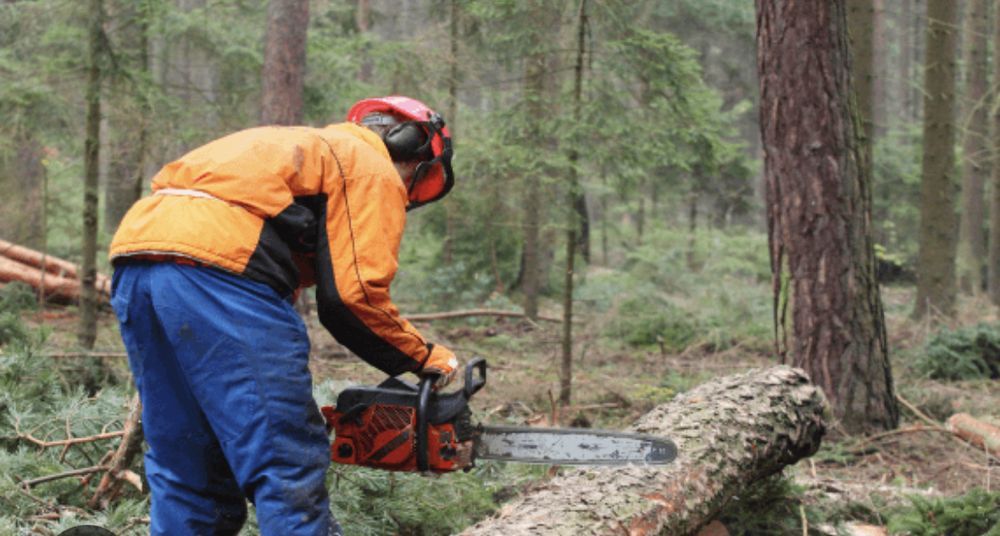 Slide of Michael Roofing and Tree Trimming