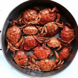 Shellfish Broker - Invasive green crabs harvested in Chatham, Massachusetts