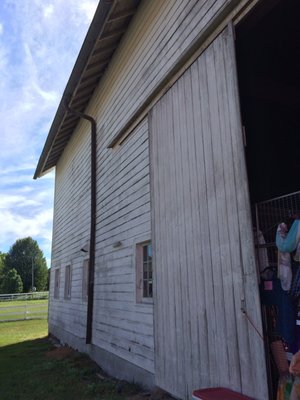 Shaker Heritage Society by null