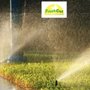 Photo of Fresh Cut Lawn Care