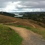 Photo of Mangemangeroa Reserve