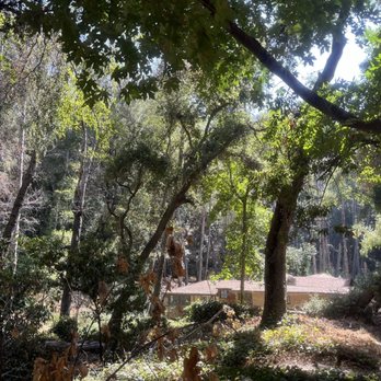 Chantry Flat Recreation Area - Parks Near Me - Sierra Madre, California