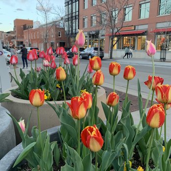 Pearl Street Mall - Flowers on Pearl - Shopping Centers Near Me - Boulder, Colorado