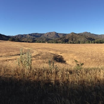 Hogs Wild Hunting Ranch - Wildlife Hunting Ranges Near Me - Coalinga, California Hogs Wild Hunting Ranch - Wildlife Hunting Ranges Near Me - Coalinga, California