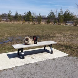 Phyllis Rawlinson Park Off Leash Dog Area - Grass really muddy... not good for Rocky!